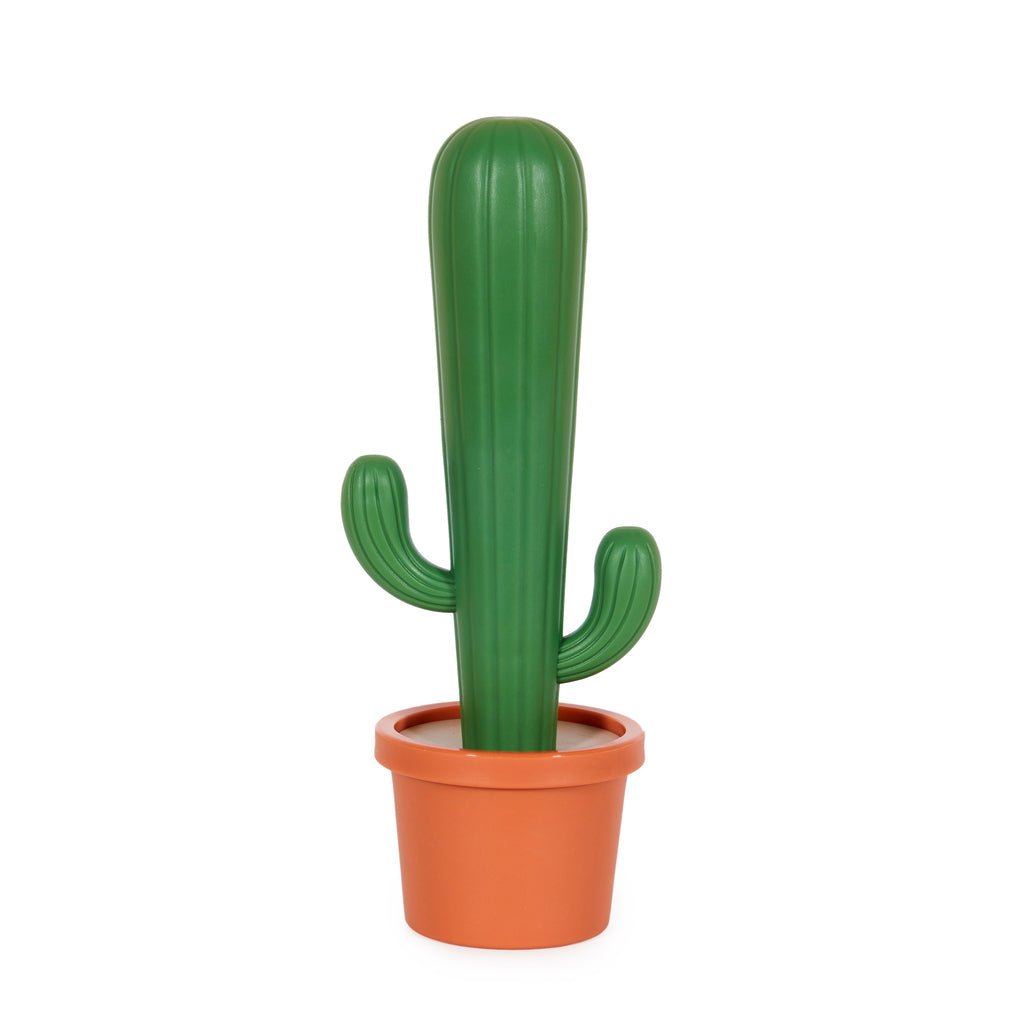 Balvi Cactus Kaktüs Figürlü Saksılı Bulaşık Fırçası