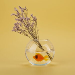 Şeffaf/Amber