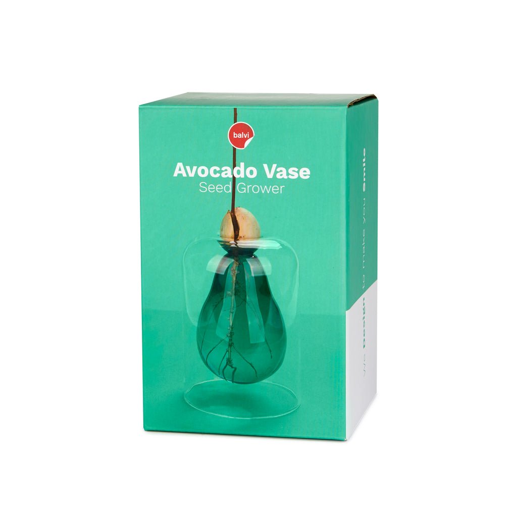 Balvi Avocado Avokado Formlu Cam Tohum Çimlendirme Vazosu, Yeşil - Görsel 4